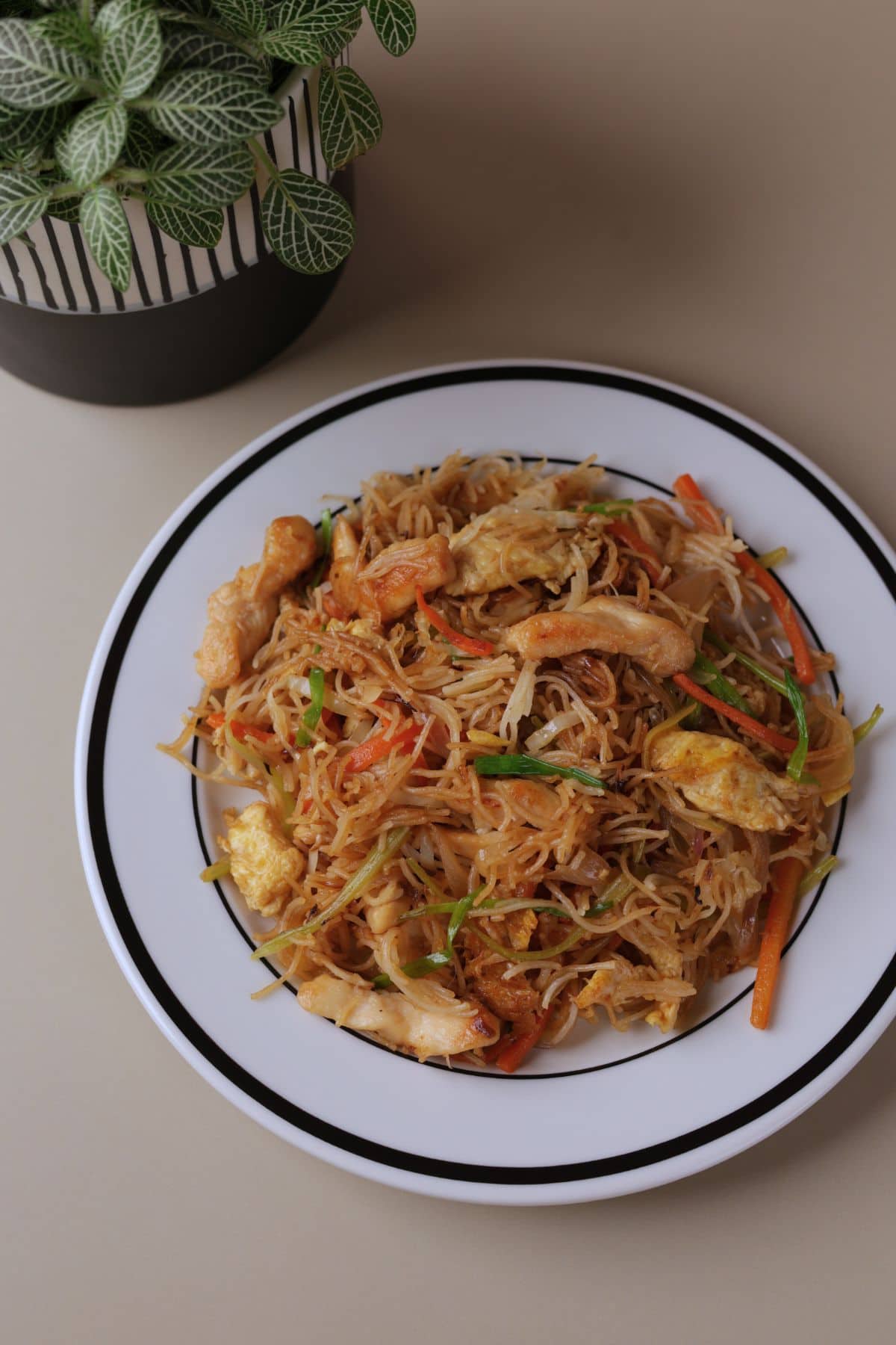 Chicken mei fun noodles with vegetables on a white plate.