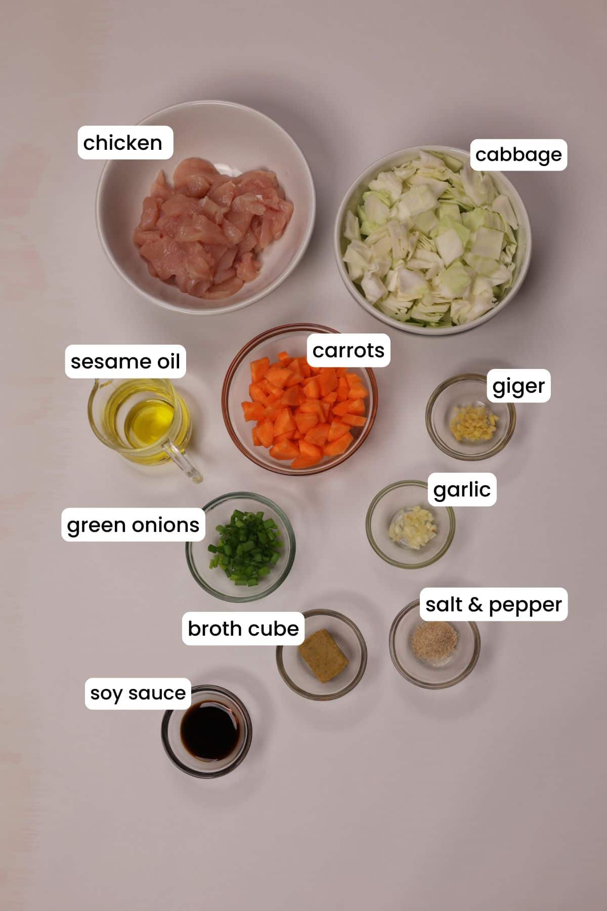 Ingredients for Asian chicken cabbage soup are arranged on a white backdrop.