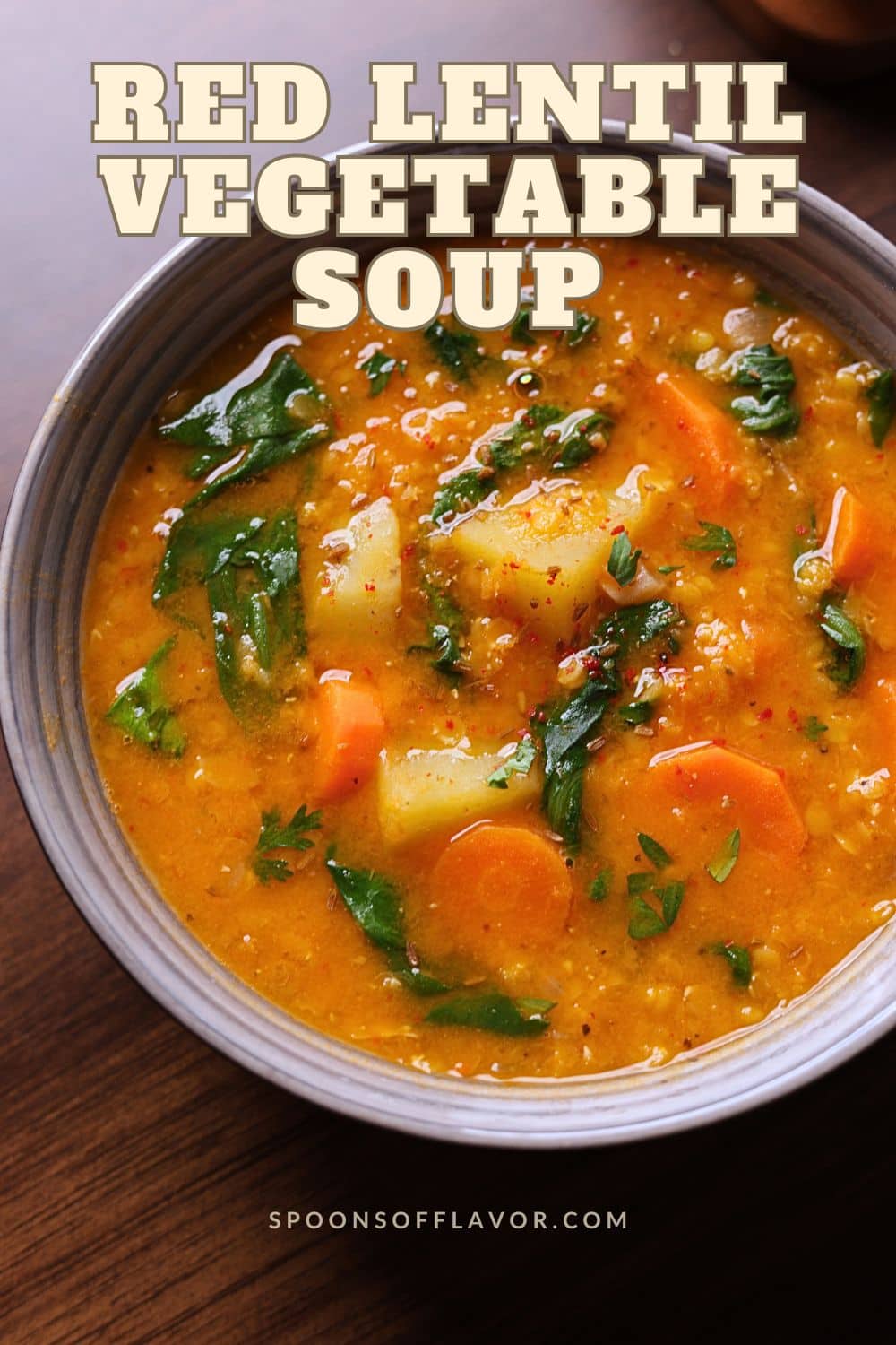 Bowl of Mediterranean red lentil andvegetable soup.